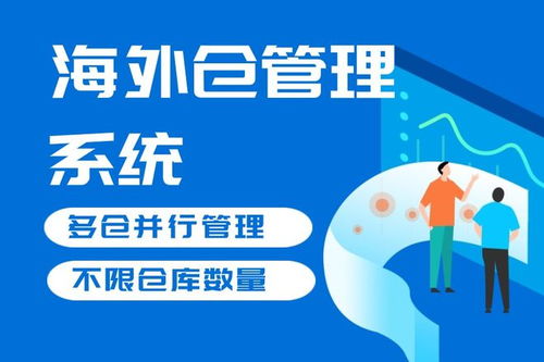 位像素 定制化海外仓系统开发有必要吗 还可以用其他的办法吗